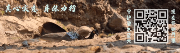 1610683388593086.png 1610645825182714.png